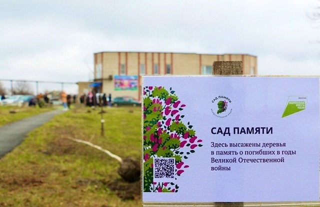 Сад памяти в детском саду. Международная акция сад памяти. Картинка сад памяти Международная акция. Садик в Новорождественской Тихорецкого района. Юг спорт сад памяти