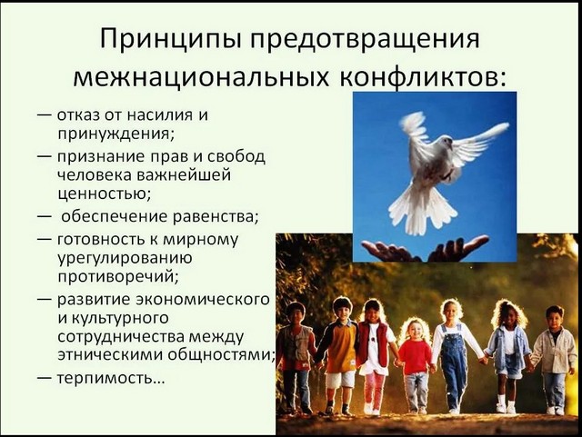 photo 28 08 2025 01