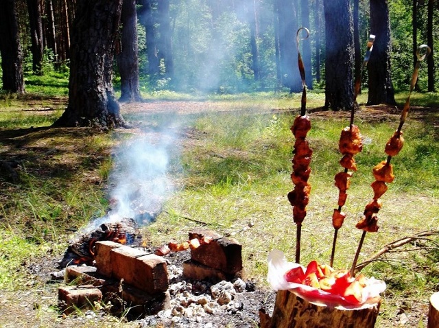 shashlik