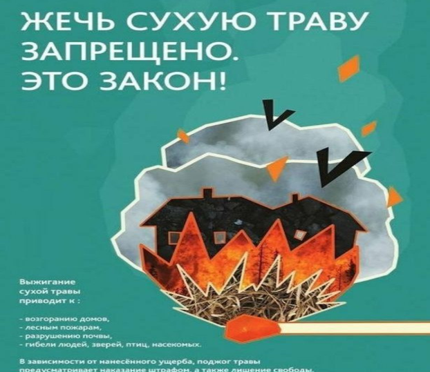 foto 2025 05 05 16 18